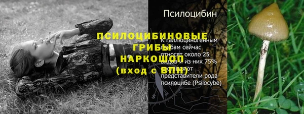 гидропоника Заволжье