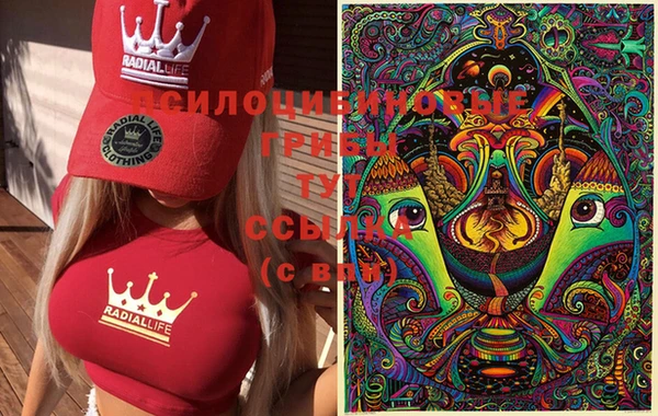 марки lsd Заволжск
