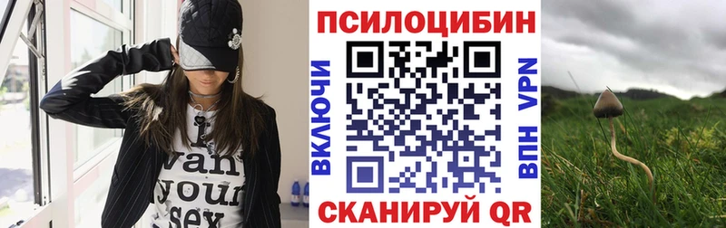 Псилоцибиновые грибы GOLDEN TEACHER  Петров Вал 